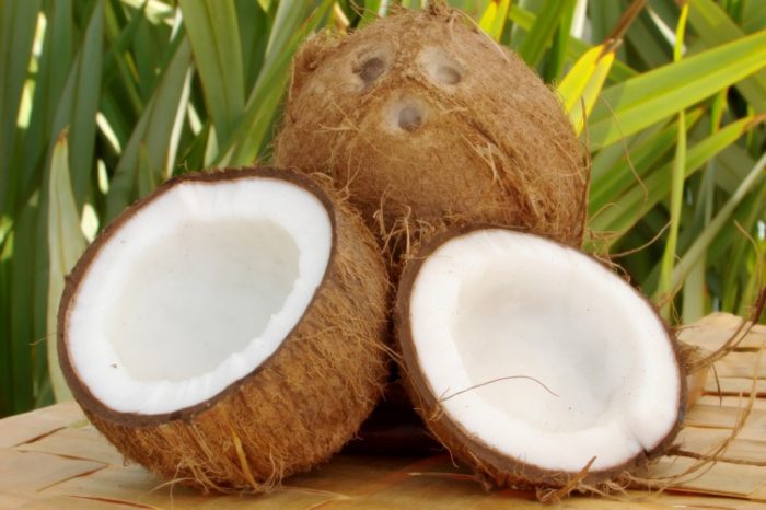 Mơ thấy hái dừa mơ thấy hái dừa