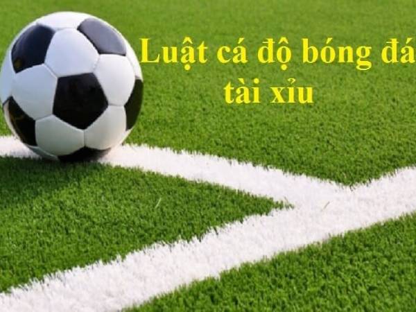 Hướng dẫn cách soi kèo tài xỉu dễ thắng Hướng dẫn cách soi kèo tài xỉu dễ thắng