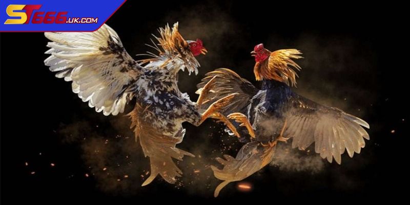 Các hình thức của trò chơi phổ biến nhất hiện nay