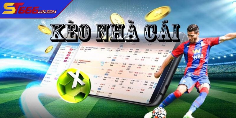 Tổng quan thế giới kèo nhà cái